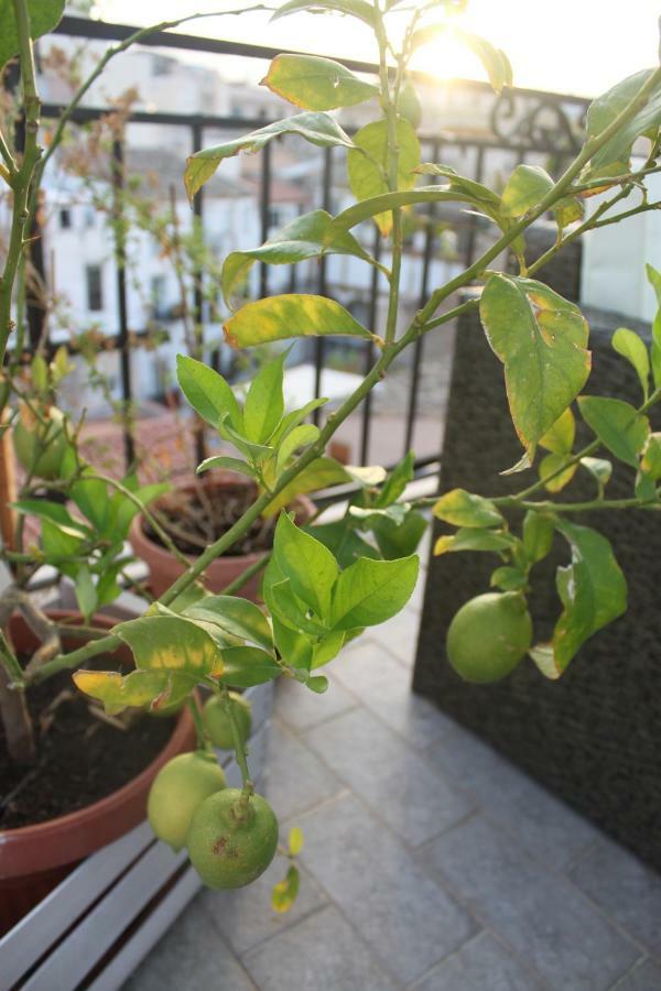 Dimore De La Rosa 巴勒莫 外观 照片